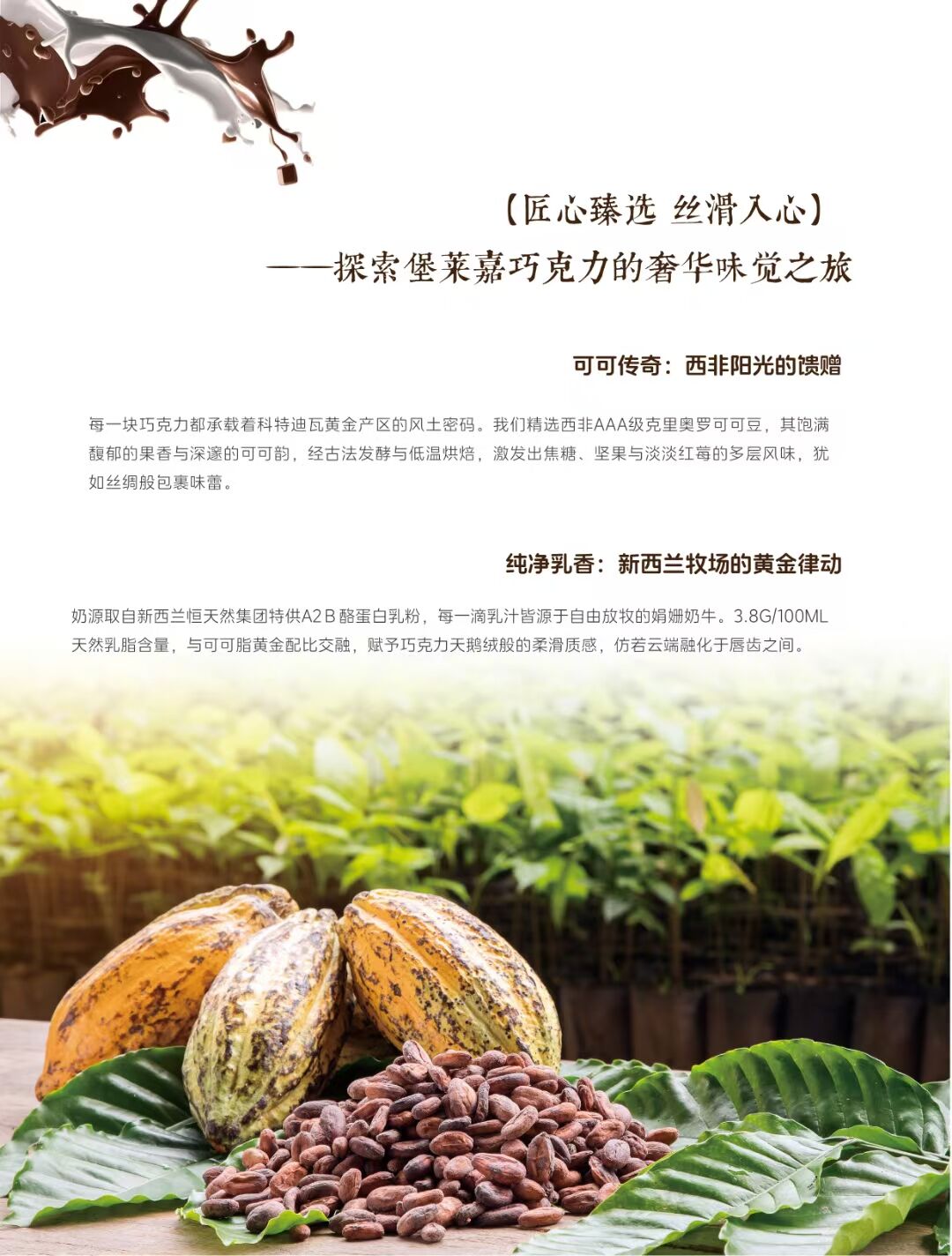 夢龍卷巧克力脆皮醬  歡迎詢單(圖1)